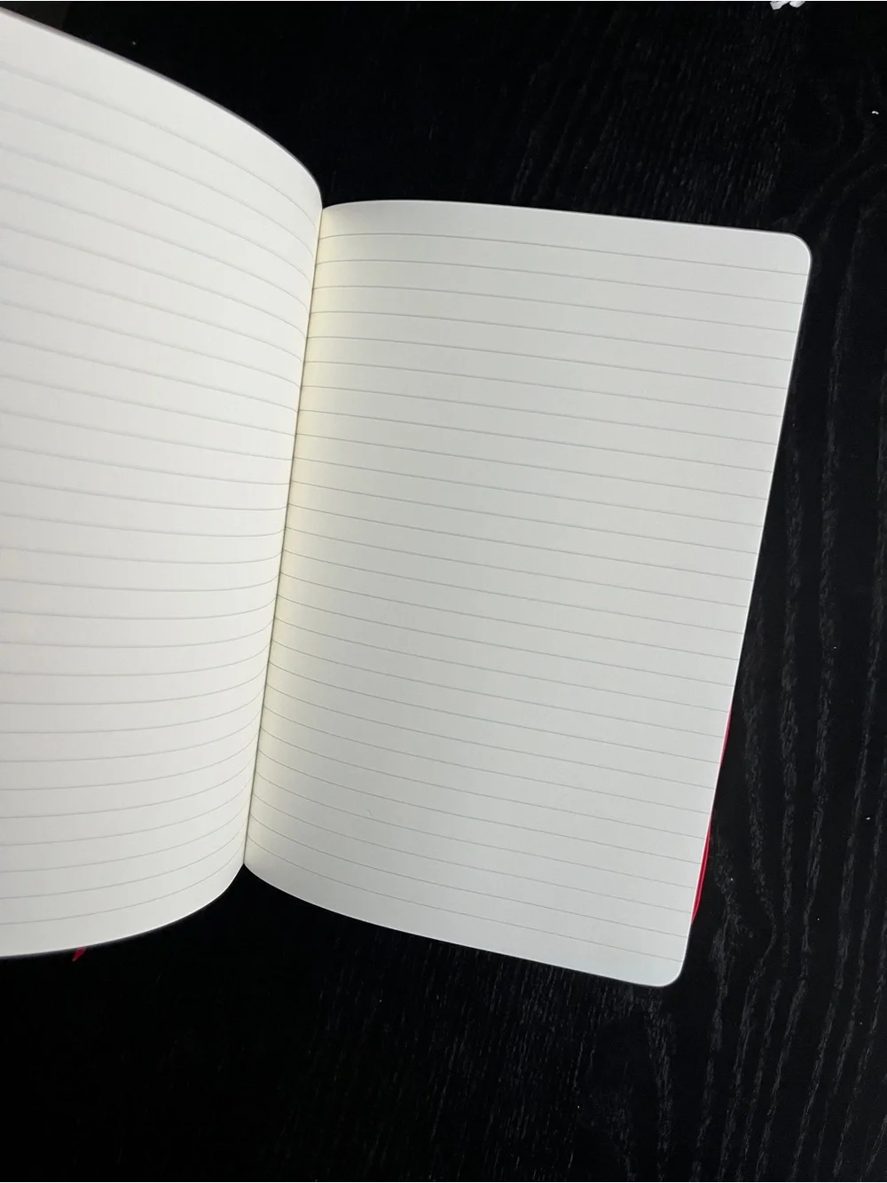 PAPERAGE Datadog Red Hardcover Lined Journal Notebook Bookmark 5.75x8 Inches